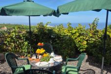 Casa rural en La Orotava - La Casita del Barranco